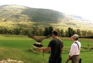 vermontforblog