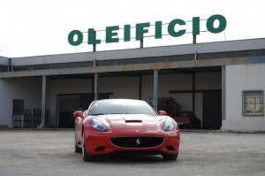 ferraricalifornia-15 Lube job: Outside an olive oil factory. (Um, to the owners, we're still waiting for the bottles promised us.)