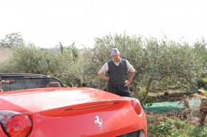 ferraricalifornia-16 "My olive trees are pretty, but this creation is magnifico!"