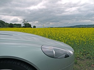img_10371