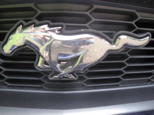 Mustang GT Running