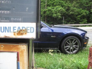 Mustang Rules Mustang 5.0